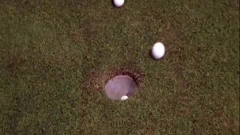 Lisa Richard - Caddyshack