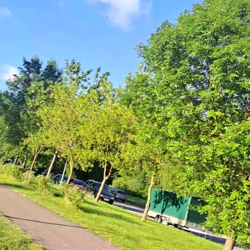 Evening Glow: Bliss Under the Sun ☀️