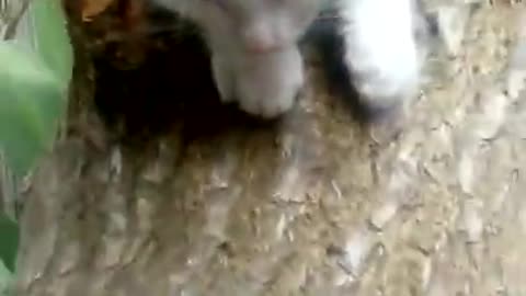 Up on the roof in no time