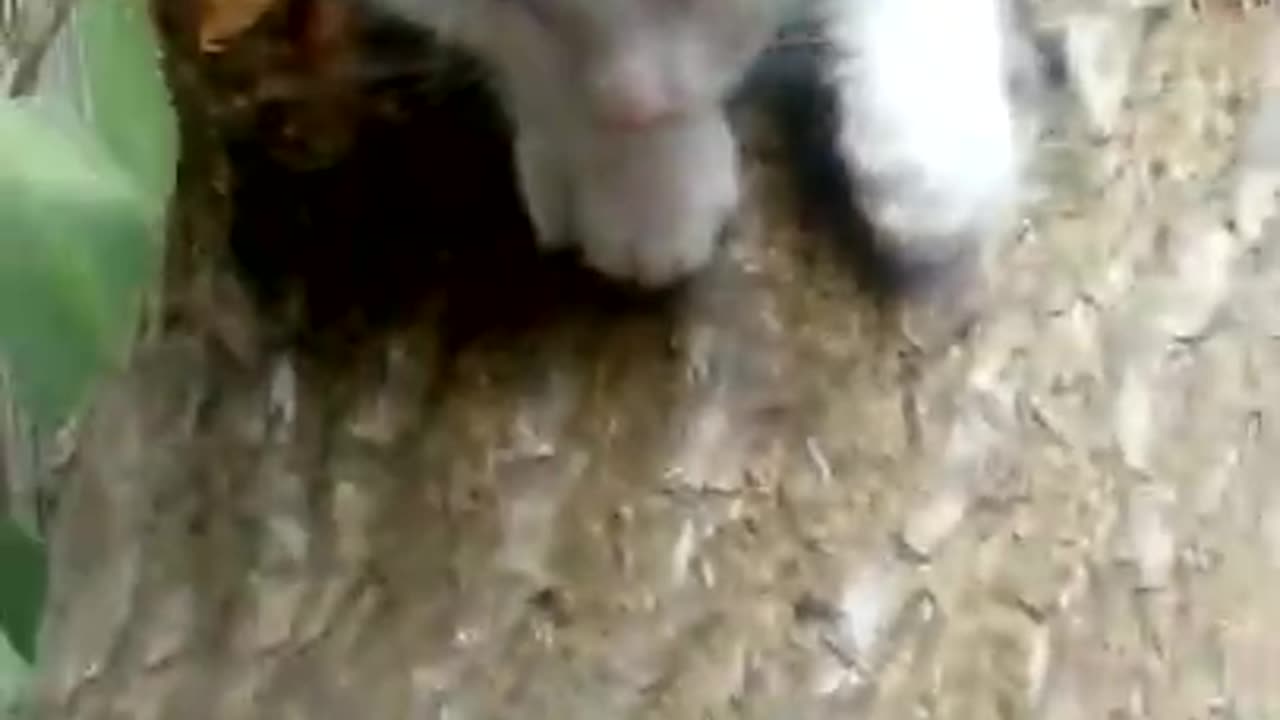 Up on the roof in no time