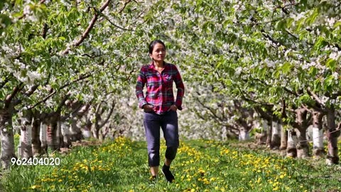 Walking in Cherry Orchard 1