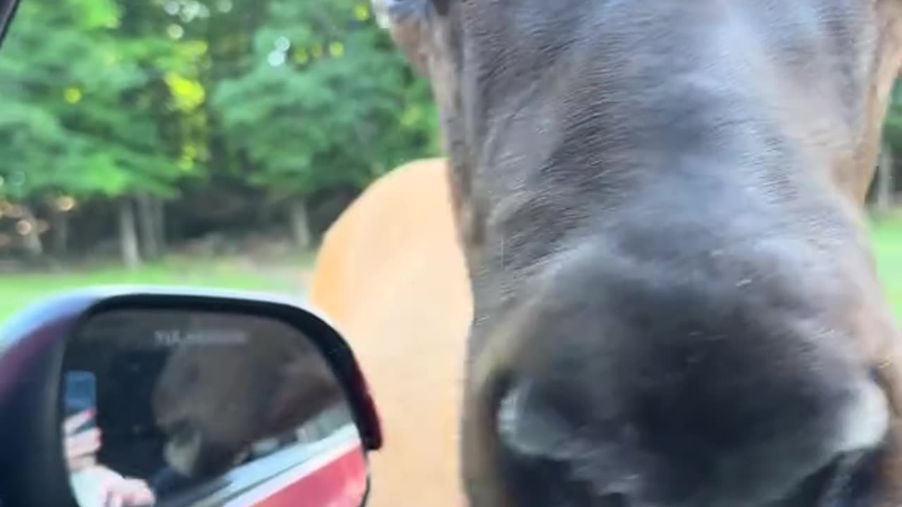 Omega Park
