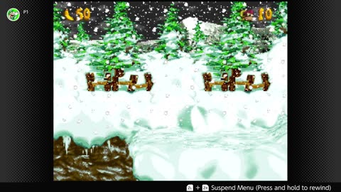 100 Follower Special! Going to 100% The DKC Trilogy on stream! Part 4! (The Finale?)