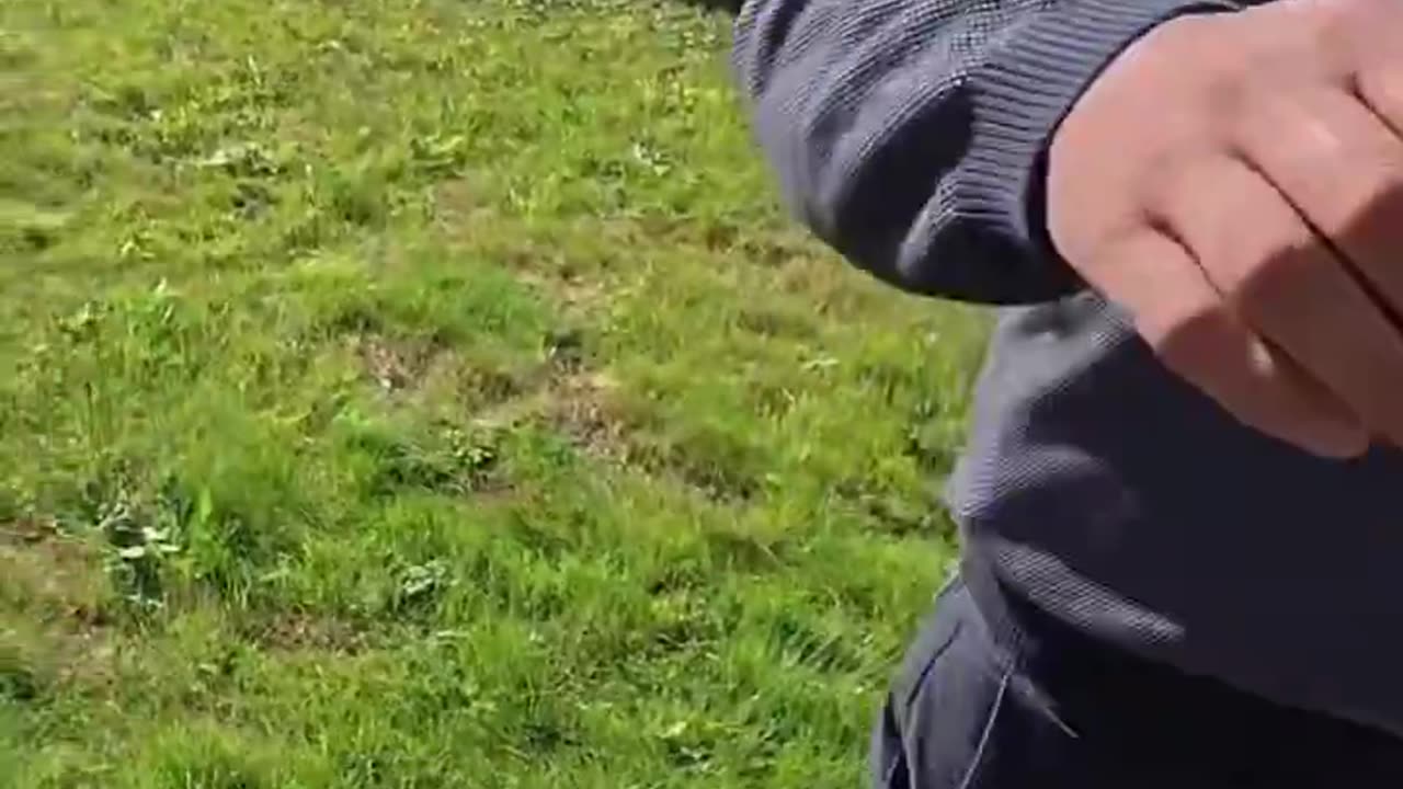 Arab invaders attack news crew