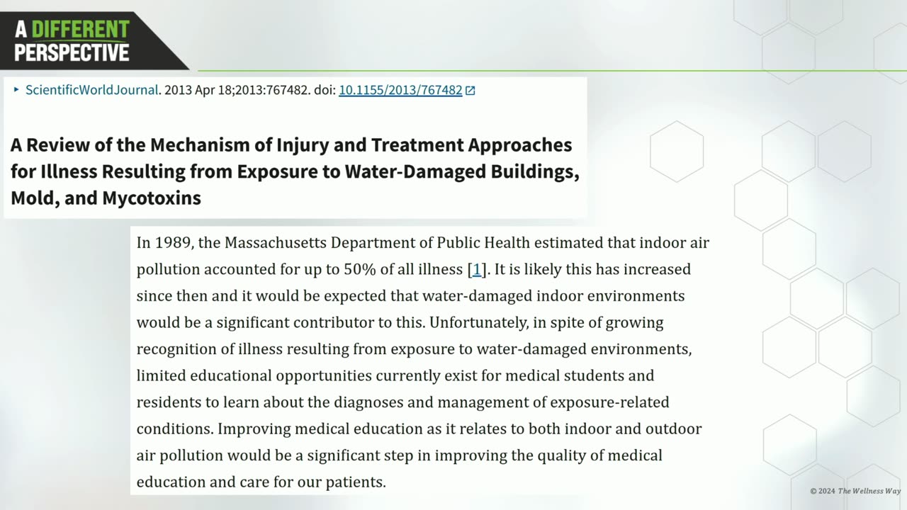 Mold - The Truth Behind This Silent Culprit of Chaos