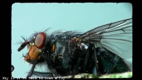 12 Biological FACTS You DON'T KNOW, but Should