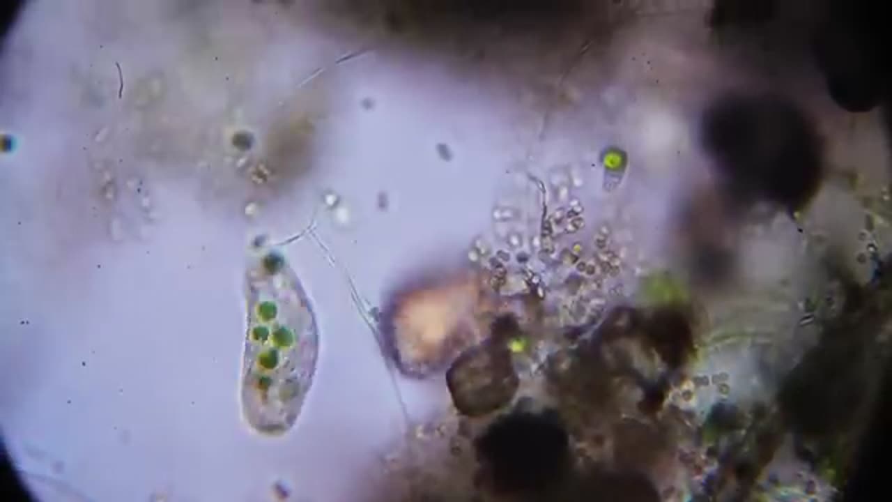 NASA Found Something Unexpected on Mars