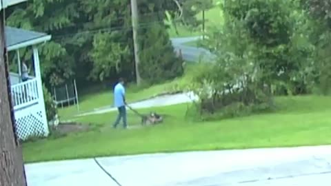 Flash Lawn Maintenance