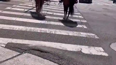 Horse Cops Clash with ICE Protesters, Accused of Brutality Against Women and Elderly in LA Chaos