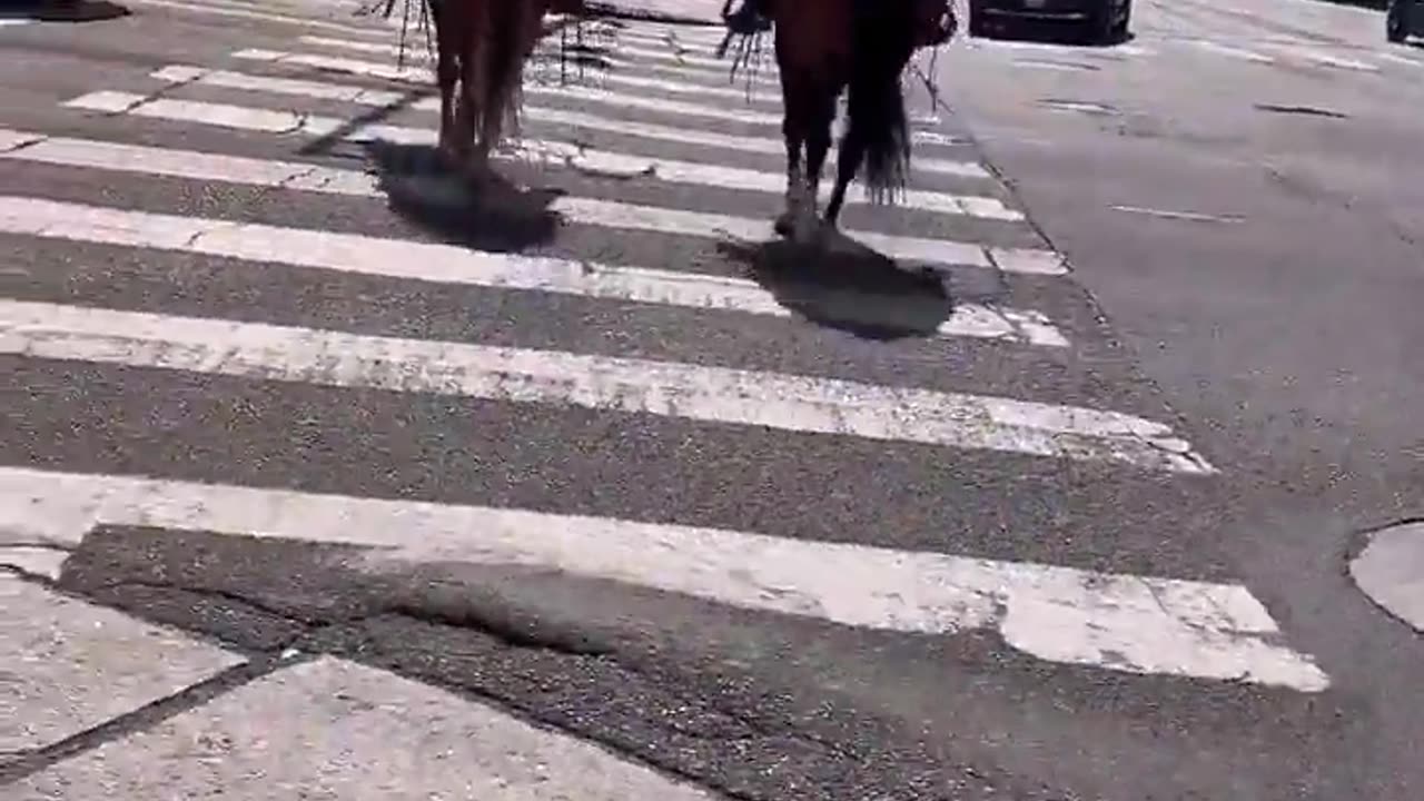 Horse Cops Clash with ICE Protesters, Accused of Brutality Against Women and Elderly in LA Chaos