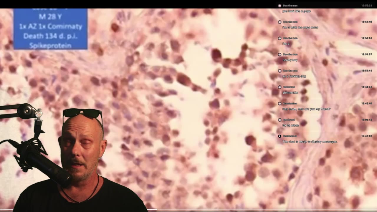 BoxOfDogs#78 - THEY/THEM LIVE