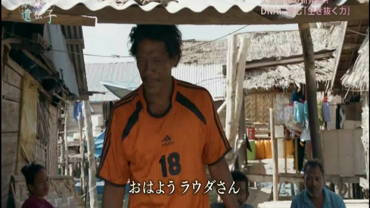 NHKスペシャル 「シリーズ 人体Ⅱ 遺伝子」第1集 あなたの中の宝物“トレジャーDNA”