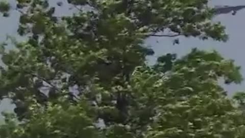 Sulmi ndaj objektivave bërthamore të Iranit,bombarduesit amerikanë kthehen në Missouri