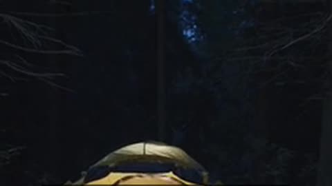 Daily Horoscope | Sagittarius 🌟