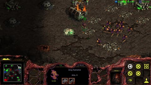 Starcraft UEDIAP