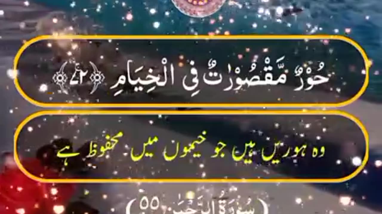 Beshak 💯♥️✨🕊️