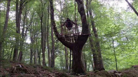Building a tree shelter & Surviving a bear encounter, surviving skills 👍