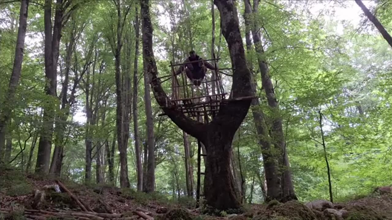 Building a tree shelter & Surviving a bear encounter, surviving skills 👍