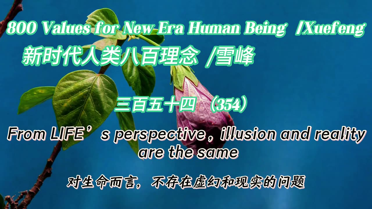800 Values for New Era Human Being（354）