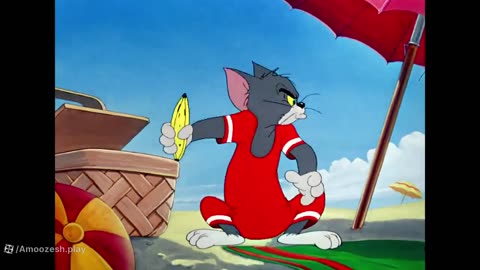 Tom and Jerry cartoon