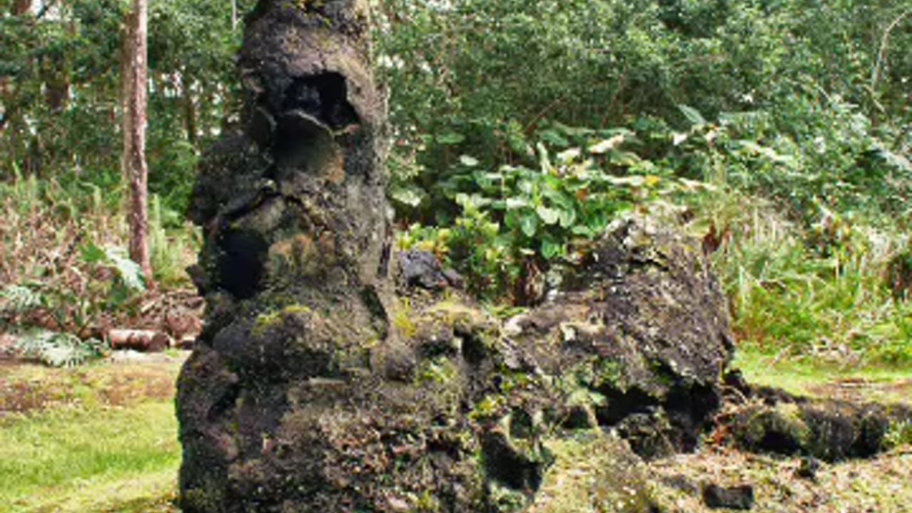 lava tree state monument