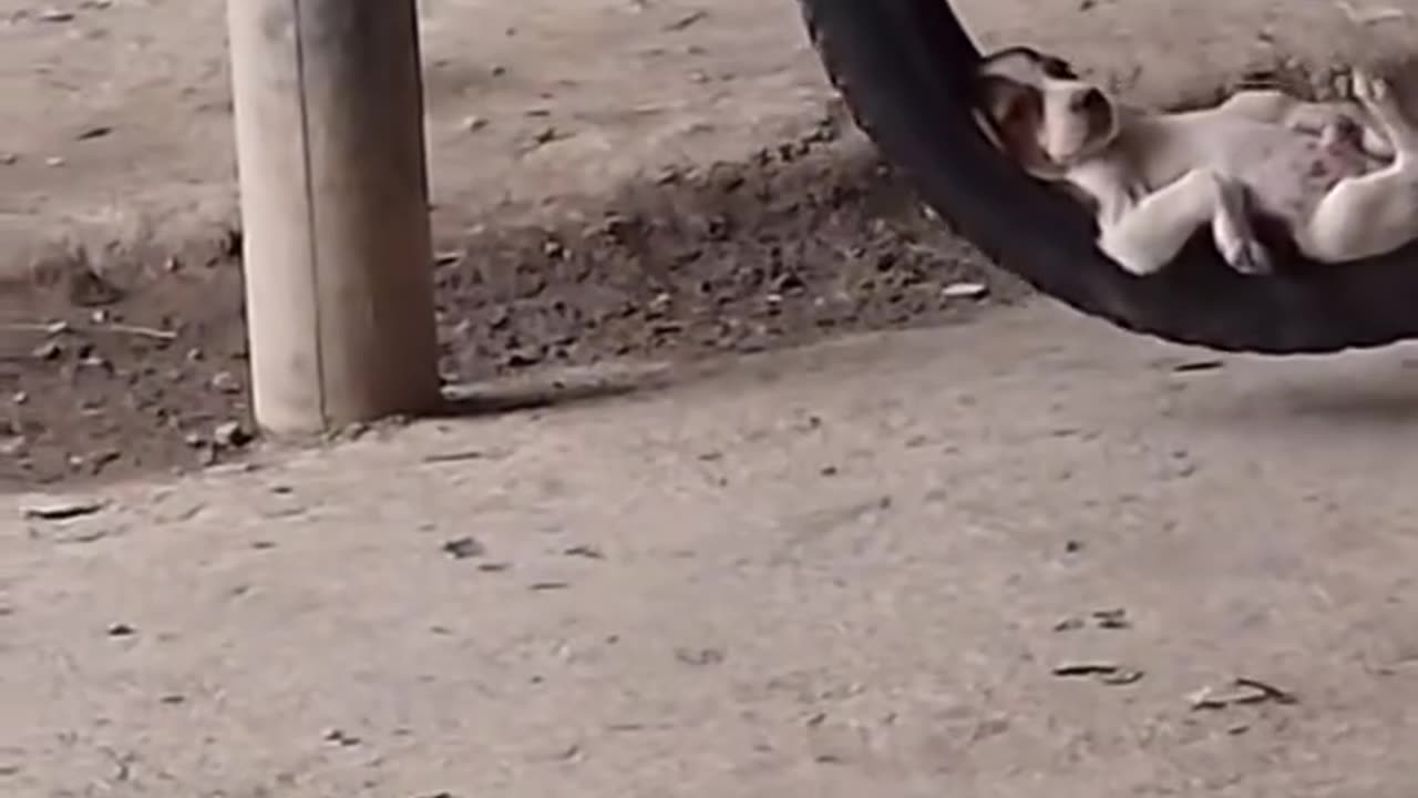 Cutest thing you will see today 💕