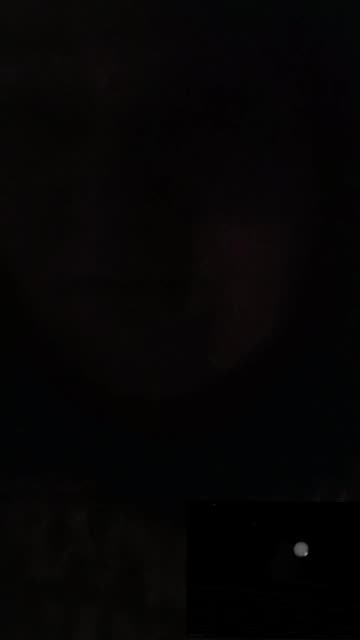 TIME TO SPAY NEUTER THESE PEDO MONSTERS