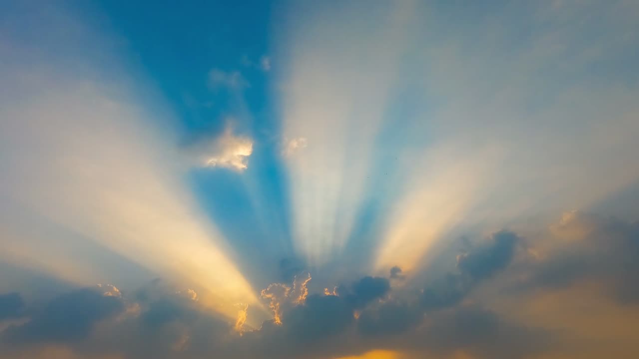 Rise & Shine by Little Head and the Fat Shafts