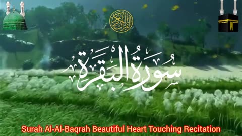 Surah Al-Baqarah Beautiful Recitation _ القرآن الكريم _ سورة البقرة _ Complete Surah Bakarah Tilawat