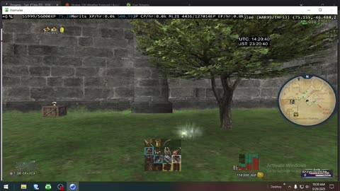 Playing Final Fantasy XI Online