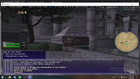 Playing Final Fantasy XI Online