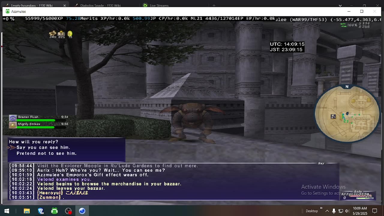 Playing Final Fantasy XI Online