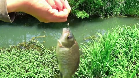 How Chinese men fish: This video reveals