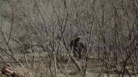 Into the Great Northwest ep 16 ENG SUBS (Xi Zhongxun Biopic) 西北岁月