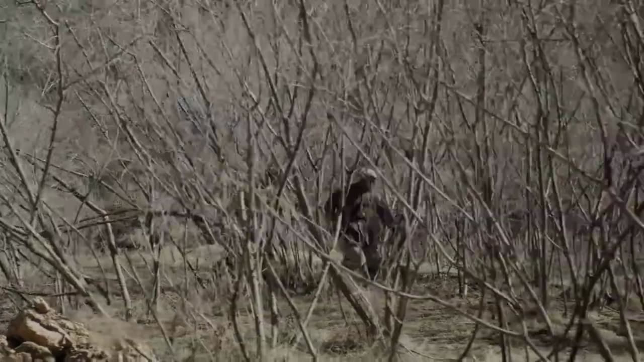 Into the Great Northwest ep 16 ENG SUBS (Xi Zhongxun Biopic) 西北岁月