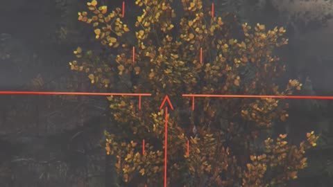 This Is What DayZ Is About #dayz #survivalgame #gaming