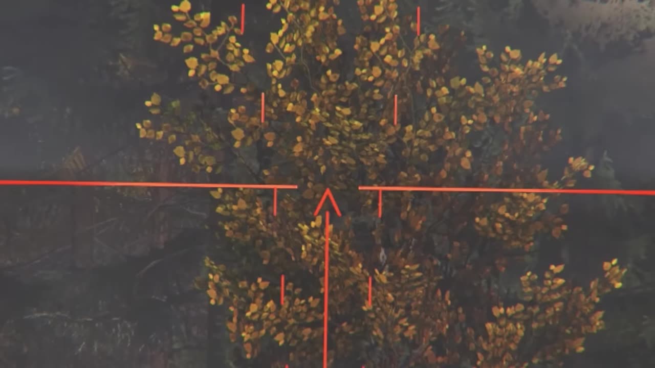 This Is What DayZ Is About #dayz #survivalgame #gaming