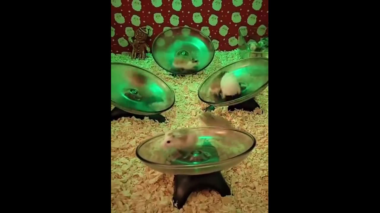 Hard Party