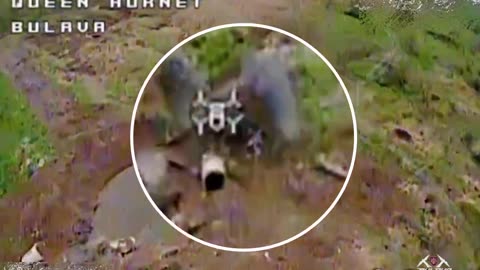 🔫🦅 AFU used drones with grenade launchers!