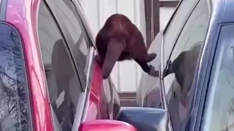 Remember sometimes things just look impossible.