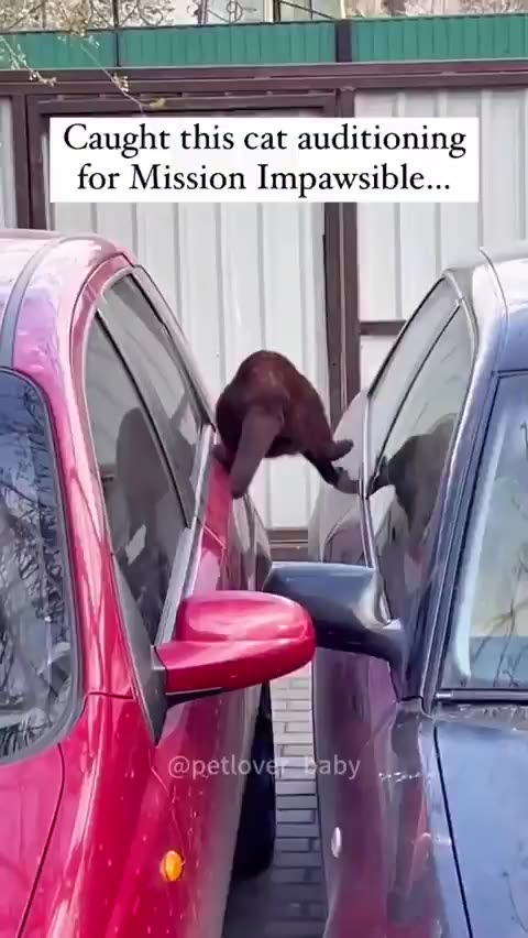 Remember sometimes things just look impossible.