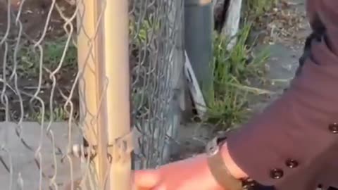 Kind-hearted policemen adopted the dog stuck in the door ❤️