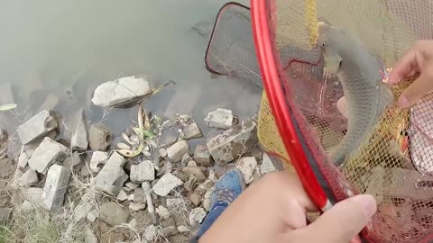 Der Fluss ruft Geschichten vom Angeln