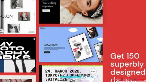 Popular Wordpress Themes