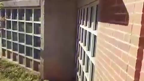 Must Watch: Was not expecting the front flip hanging tech at all! #parkour