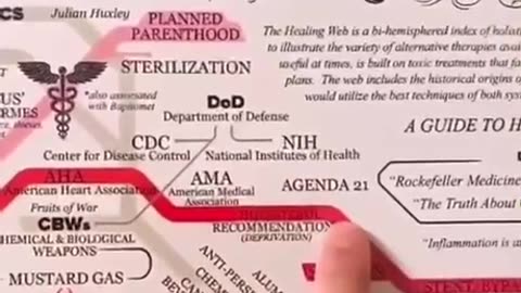 THE VITALITY WEB THEY DIDN'T WANT YOU TO SEE!