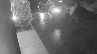 Video of Incident