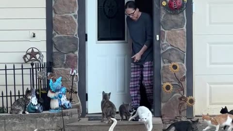 Our Cats have a Favorite People!!!