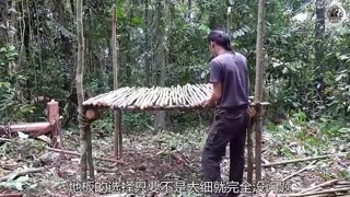 Jungle Night Survival with Strong Remix