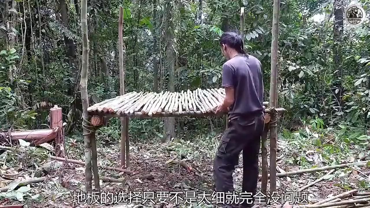 Jungle Night Survival with Strong Remix